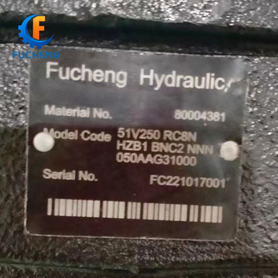 Sauer 51 Serie 51V 080 RC6N/51V 250 RC8N/51C080RD3N Motor de pistón hidráulico de hierro fundido