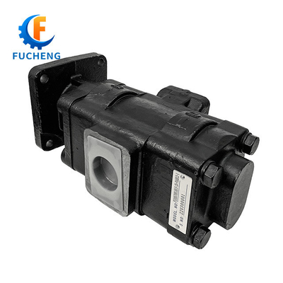 Pumpas de engranajes de la serie P330 de Parker negro directo