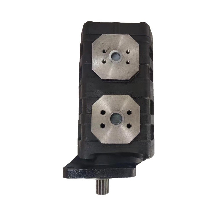 Bomba hidráulica de hierro fundido estándar de aluminio Cbgj2063/2050R Disposición 63 Ml/R Serie de engranajes